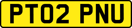 PT02PNU