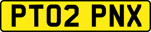 PT02PNX