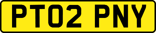 PT02PNY