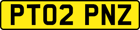 PT02PNZ