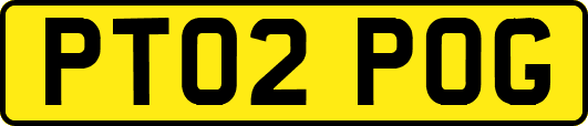 PT02POG