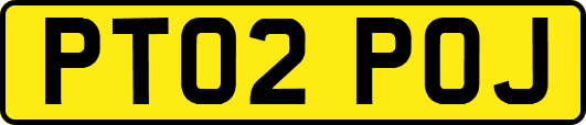 PT02POJ