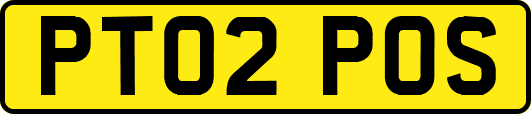 PT02POS