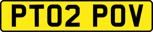 PT02POV
