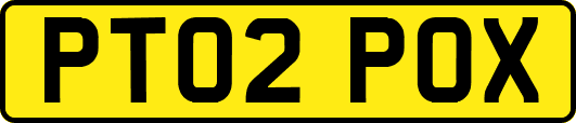 PT02POX
