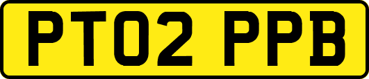 PT02PPB