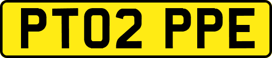 PT02PPE