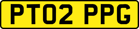 PT02PPG