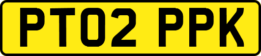PT02PPK