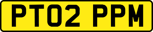 PT02PPM