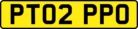 PT02PPO