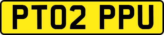 PT02PPU