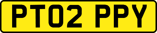 PT02PPY