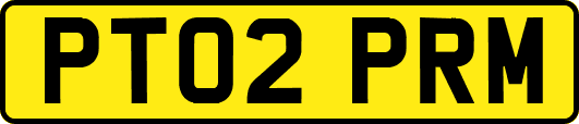 PT02PRM