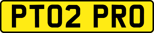 PT02PRO