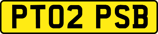PT02PSB