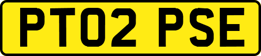PT02PSE