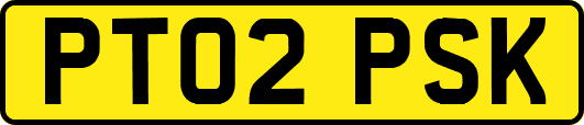 PT02PSK