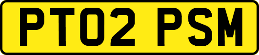 PT02PSM