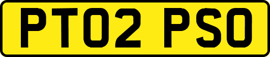 PT02PSO