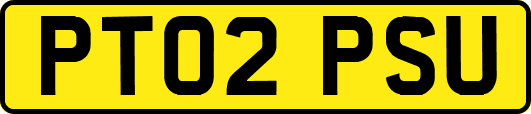 PT02PSU