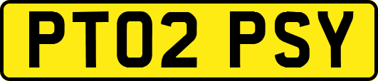 PT02PSY