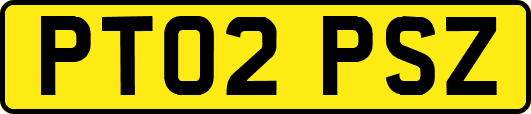 PT02PSZ