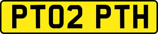 PT02PTH