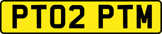 PT02PTM