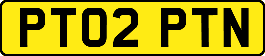 PT02PTN