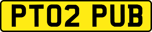 PT02PUB