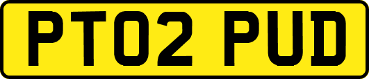 PT02PUD