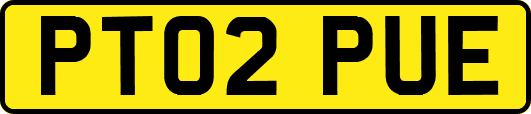 PT02PUE