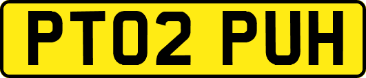 PT02PUH
