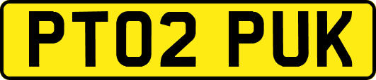 PT02PUK