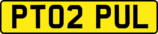 PT02PUL