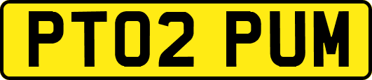 PT02PUM