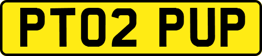 PT02PUP