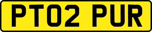 PT02PUR
