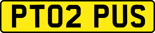 PT02PUS
