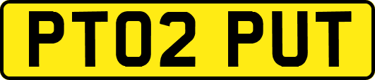 PT02PUT