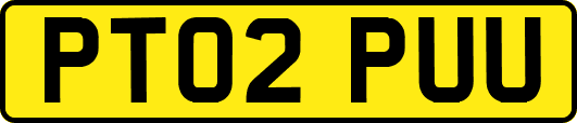 PT02PUU