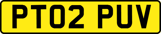 PT02PUV