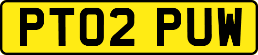 PT02PUW