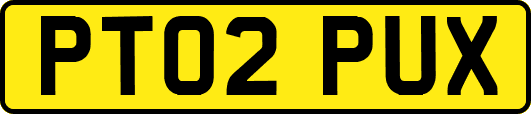 PT02PUX