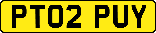 PT02PUY