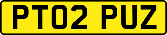 PT02PUZ