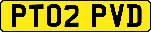 PT02PVD