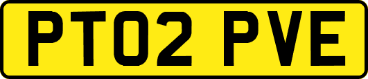 PT02PVE