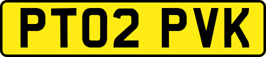 PT02PVK